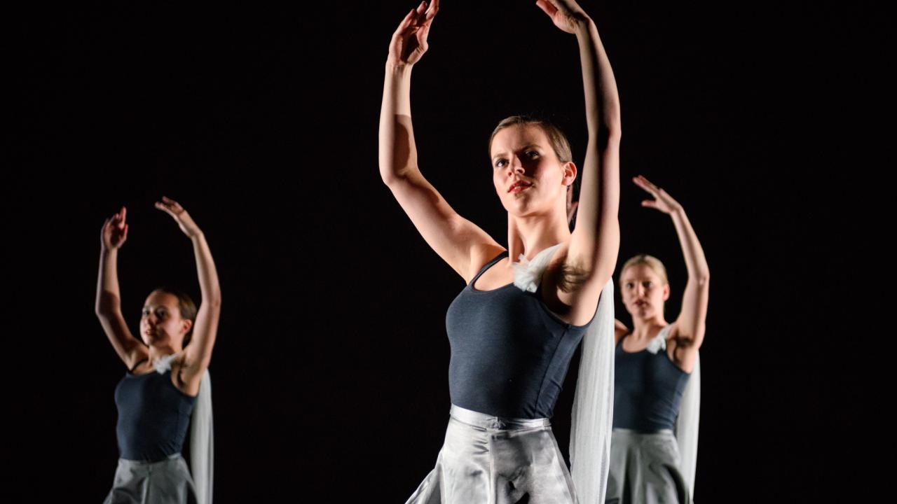 Bijna segment zuur Cursus: Klassiek Ballet Volwassenen